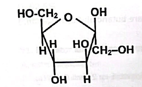 Structura β-fructofuranozei