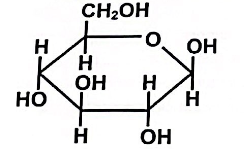 Structura β-glucopiranozei
