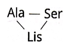 peptid ciclic Ala-Ser-Lis
