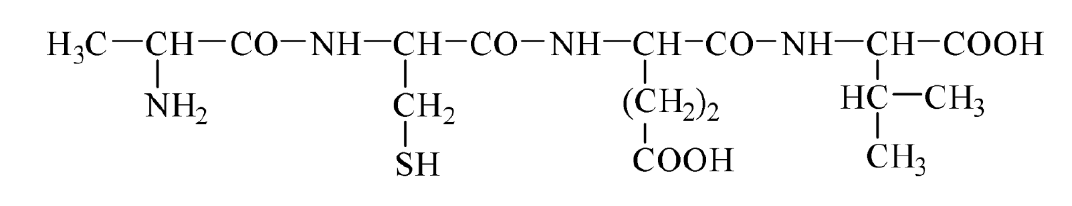 Structura peptidei