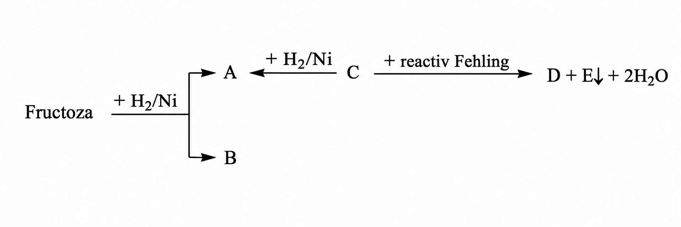 schema