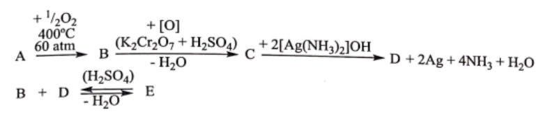 schema