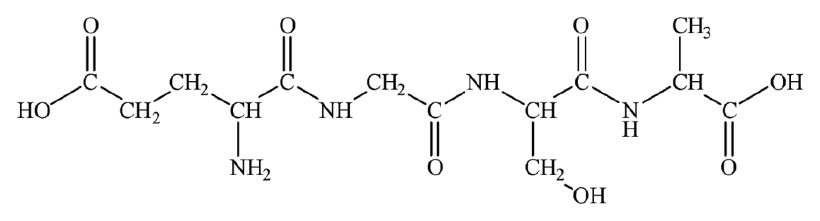 Structura peptidei