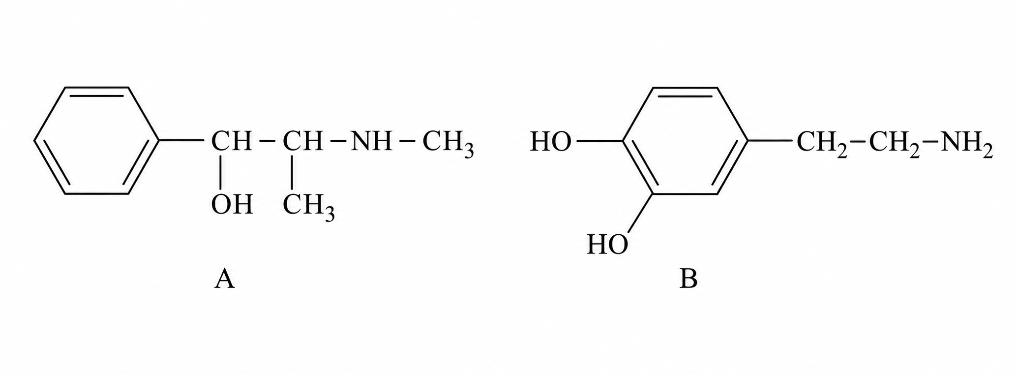 schema