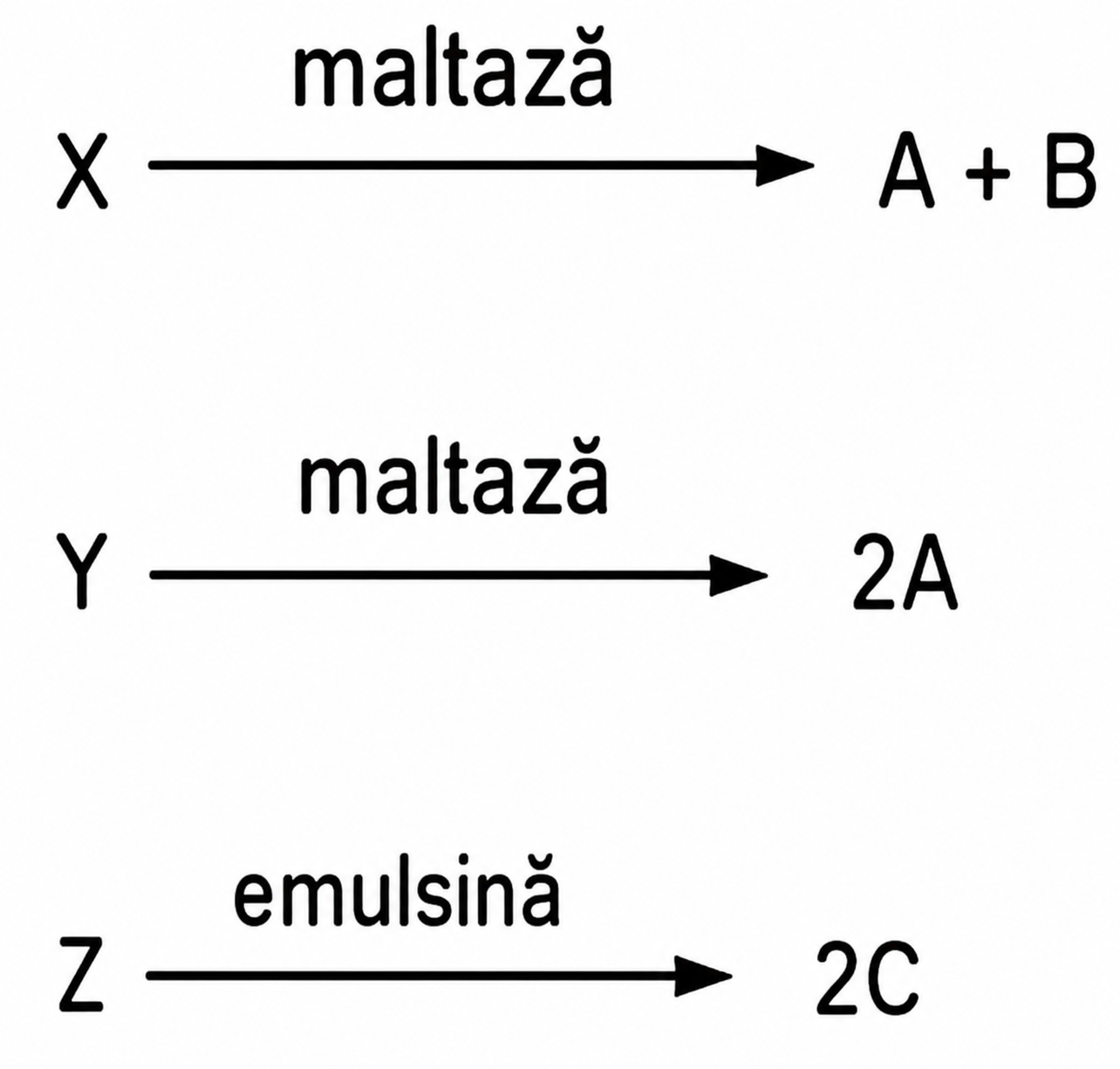 schema de reacții
