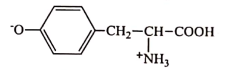 schema