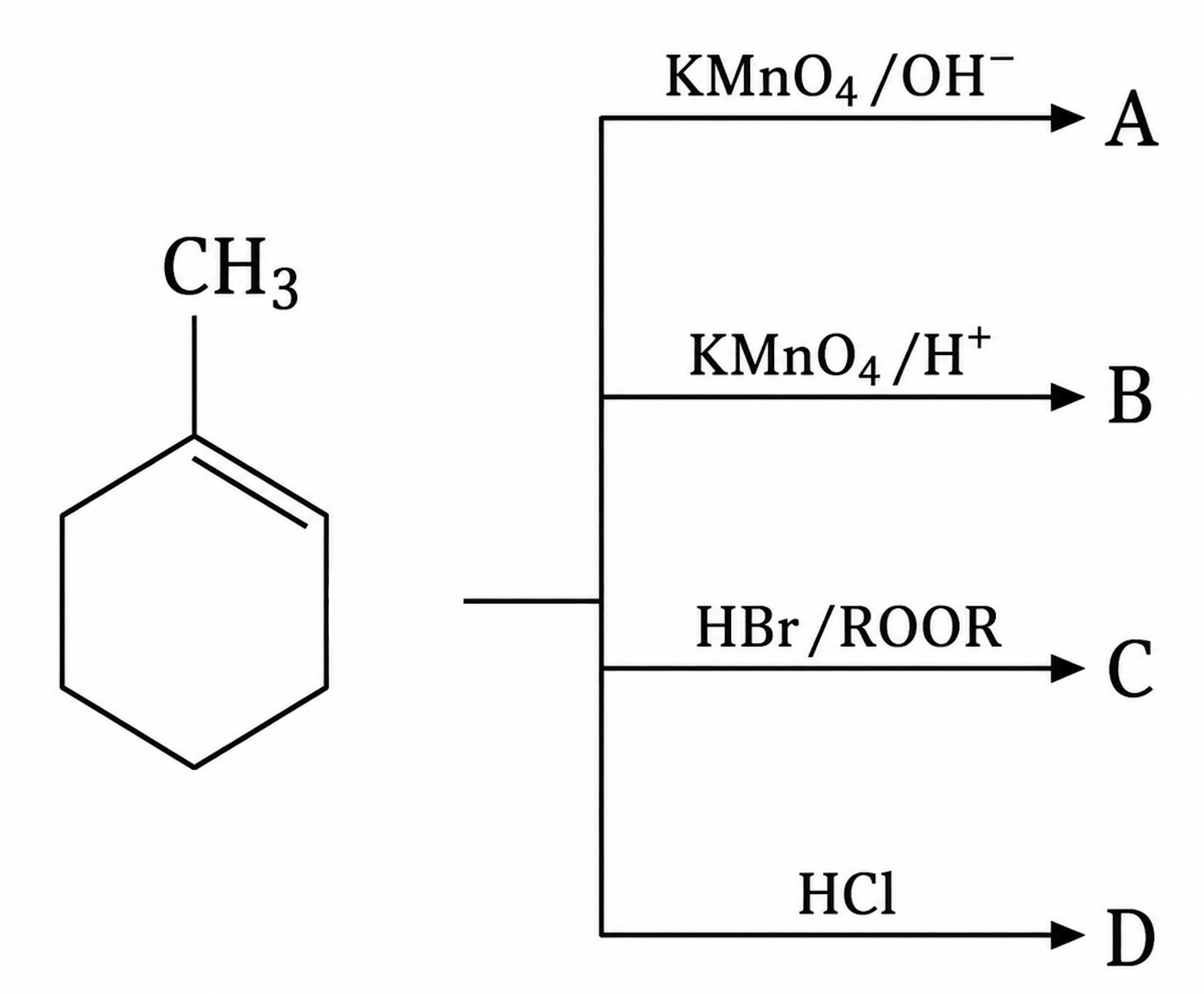 schema