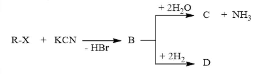 Schema de reacții